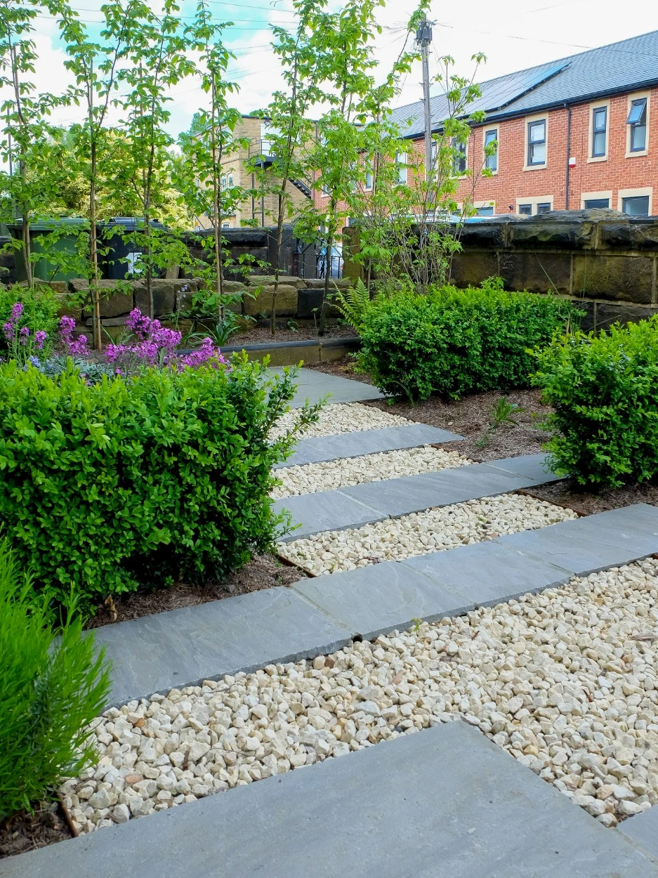 A garden landscaped by Willow Gardens — plank paving, gravel path and clipped box hedging